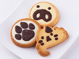 The machine draws various designs with chocolate on tart cookies.