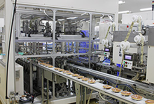 Everything from square wrapping packaging to putting on the trays and pillow packaging are all automated.
