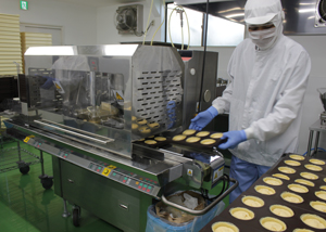 Kurikanoko Tart in production