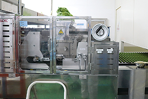 Overview of the dough depositor