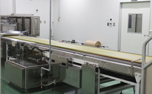 Cooling conveyor belt after baking