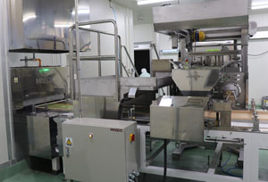 Souffle Roll (ujimatcha) in production. The photo shows the batter depositor machine to the entrance of the oven.