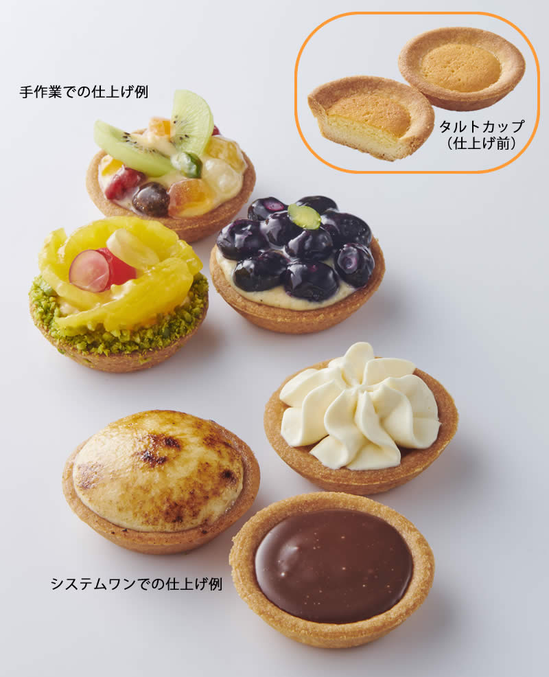 Tartlet Shell