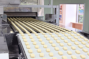 The line from forming to packaging is one straight line, improving the efficiency.